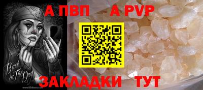 шишки Долгопрудный