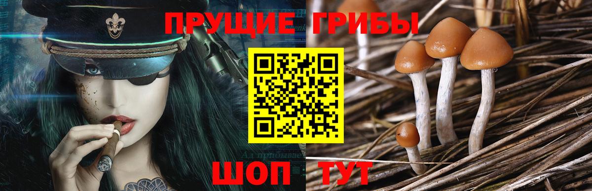 Галлюциногенные грибы Psilocybe  Вход с VPN  Сургут 