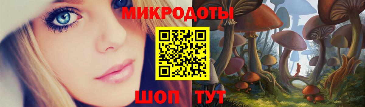 Галлюциногенные грибы Psilocybine cubensis Сургут